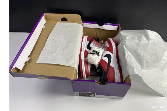 Nike Chicago Low SB J-Pack BQ6817-600 Dunk 0820